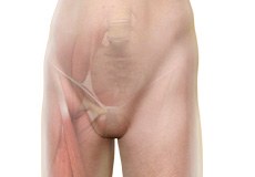 Hip Groin Disorders